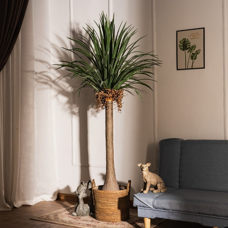 Tanaman Hijau Buatan Dracaena  - Baby Clothing Store ulasan dan harga